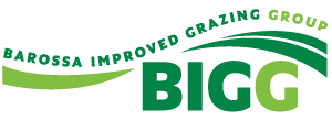 BIGG Logo